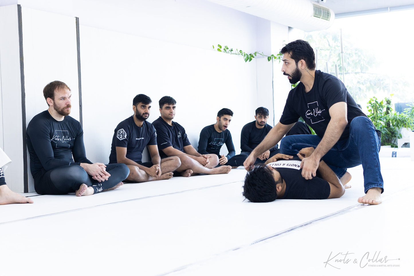 King of the Tatami (Second Edition - 2024)