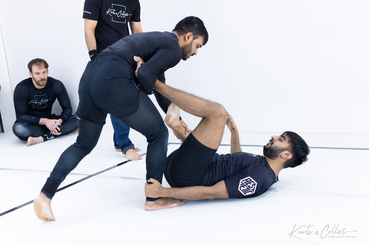 King of the Tatami (Second Edition - 2024)