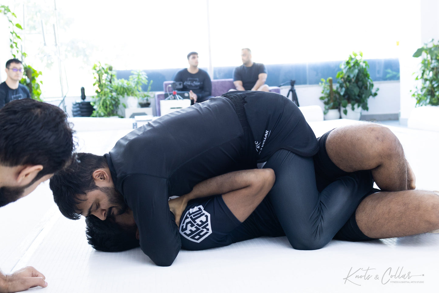 King of the Tatami (Second Edition - 2024)