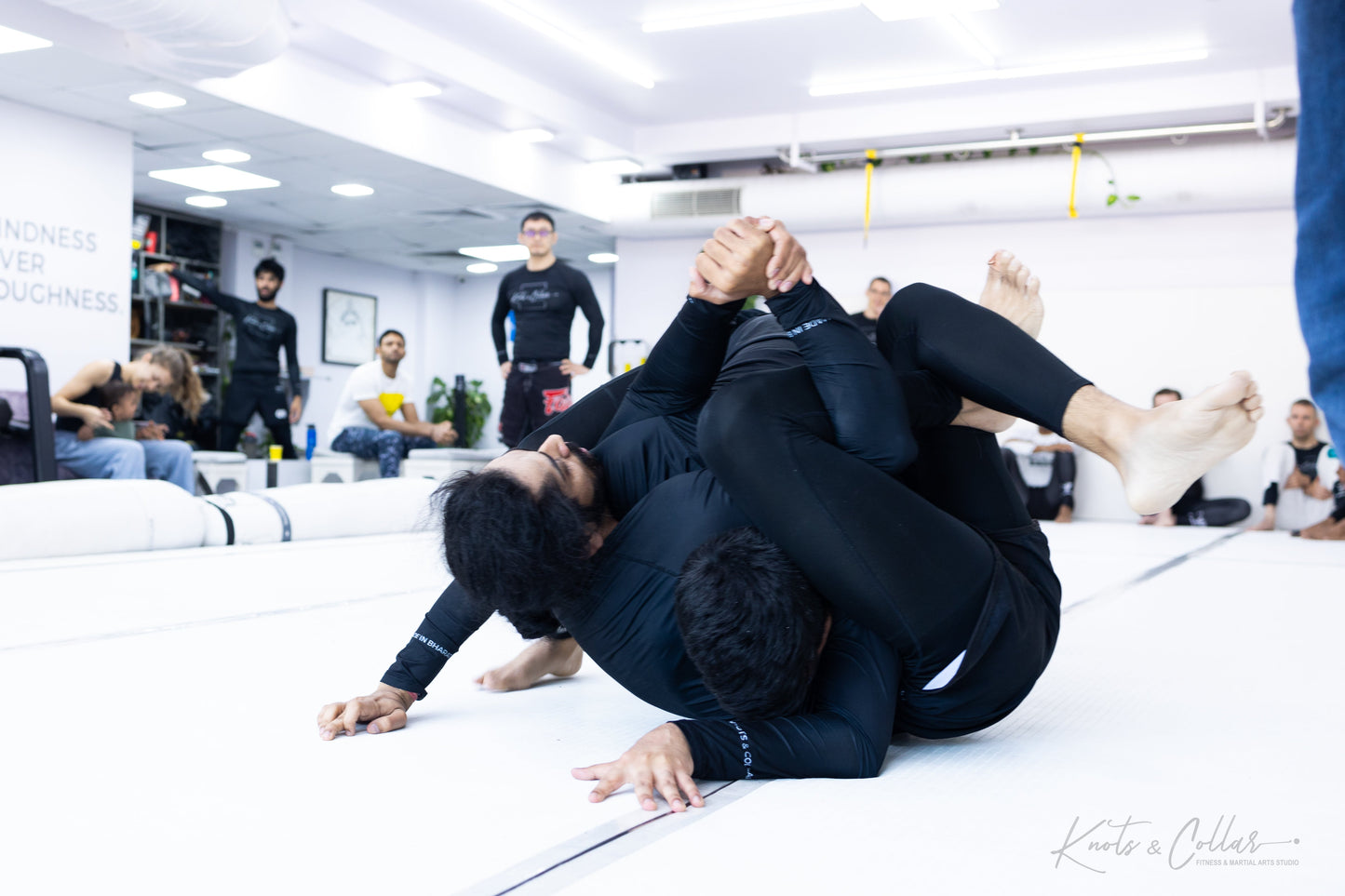 King of the Tatami (Second Edition - 2024)
