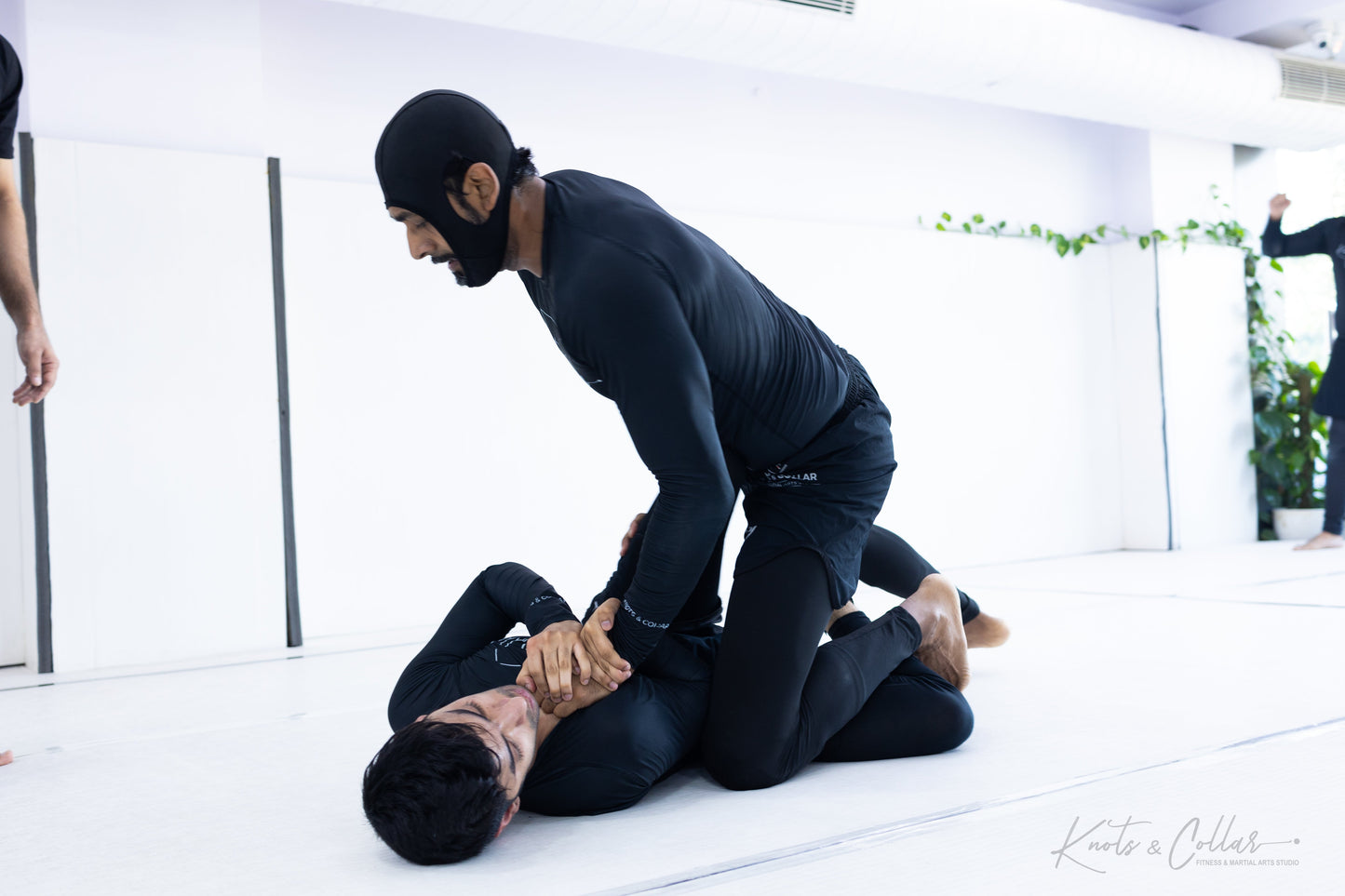 King of the Tatami (Second Edition - 2024)