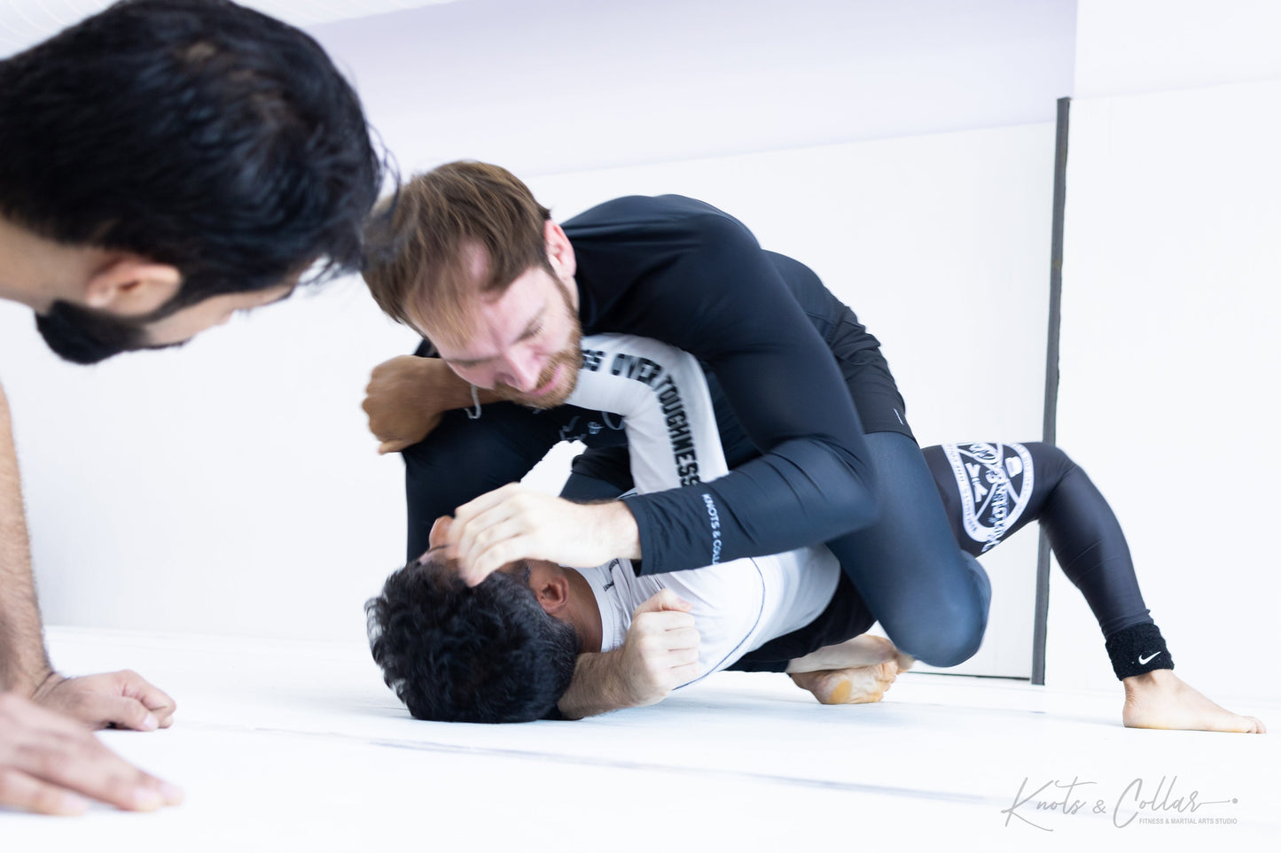 King of the Tatami (Second Edition - 2024)