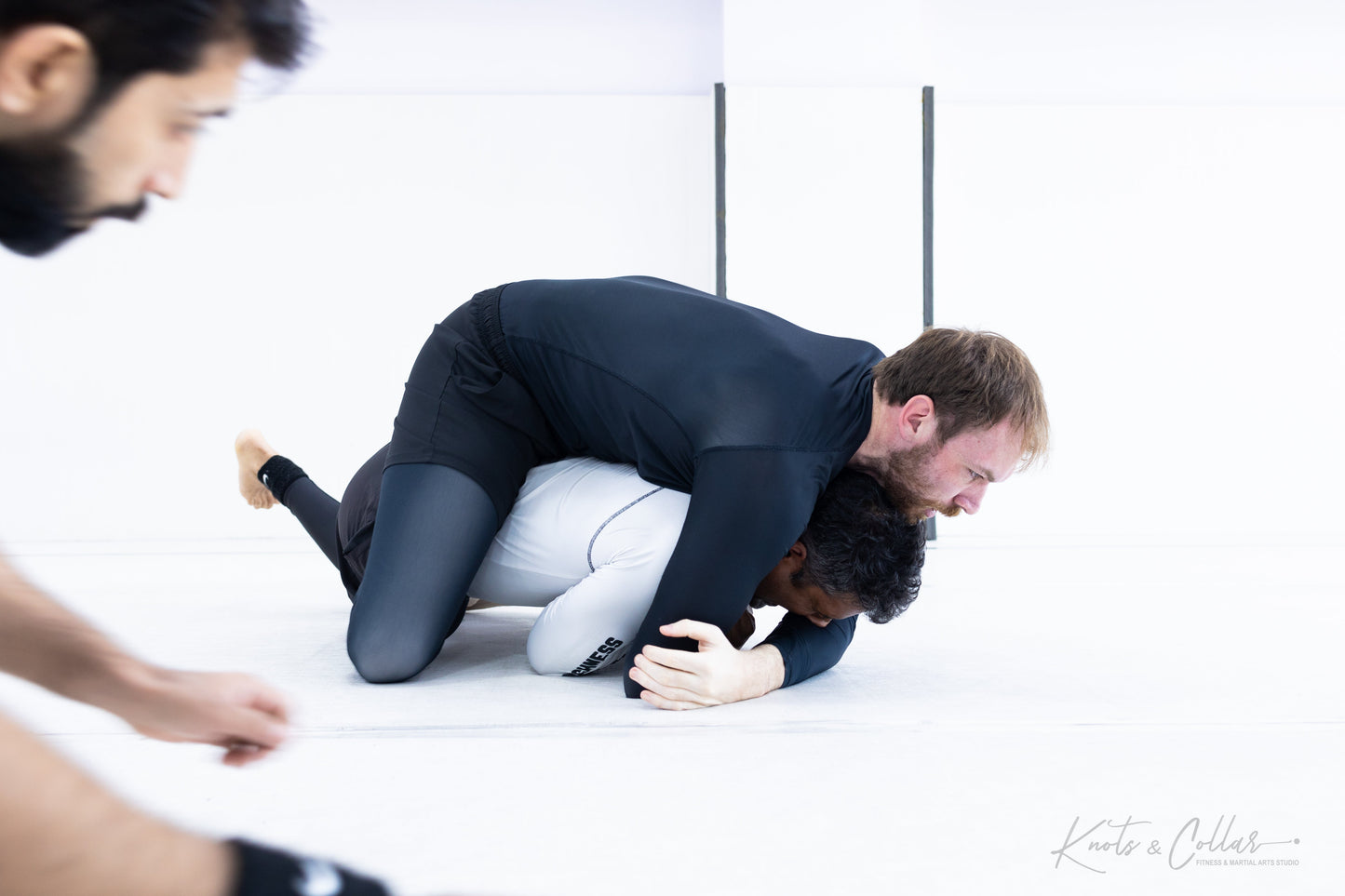 King of the Tatami (Second Edition - 2024)