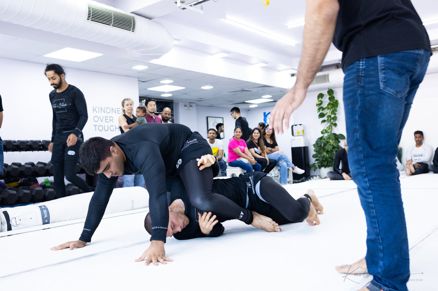King of the Tatami (Second Edition - 2024)