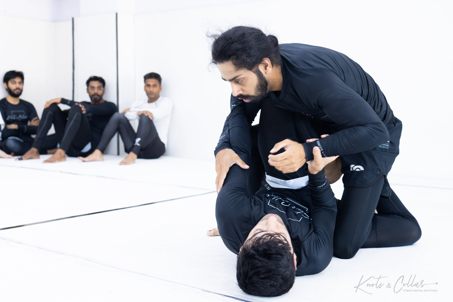 King of the Tatami (Second Edition - 2024)