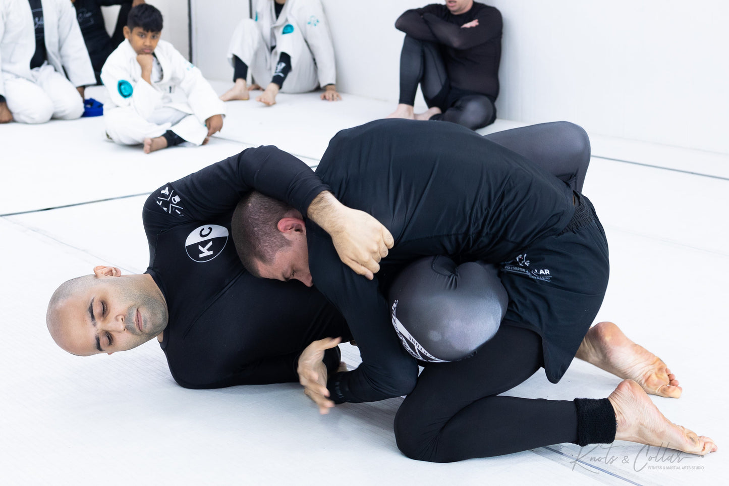 King of the Tatami (Second Edition - 2024)