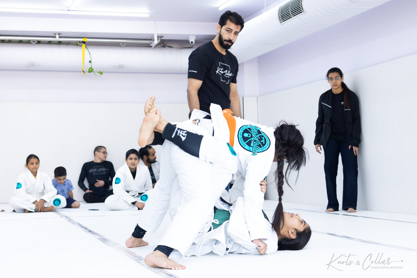 King of the Tatami (Second Edition - 2024)
