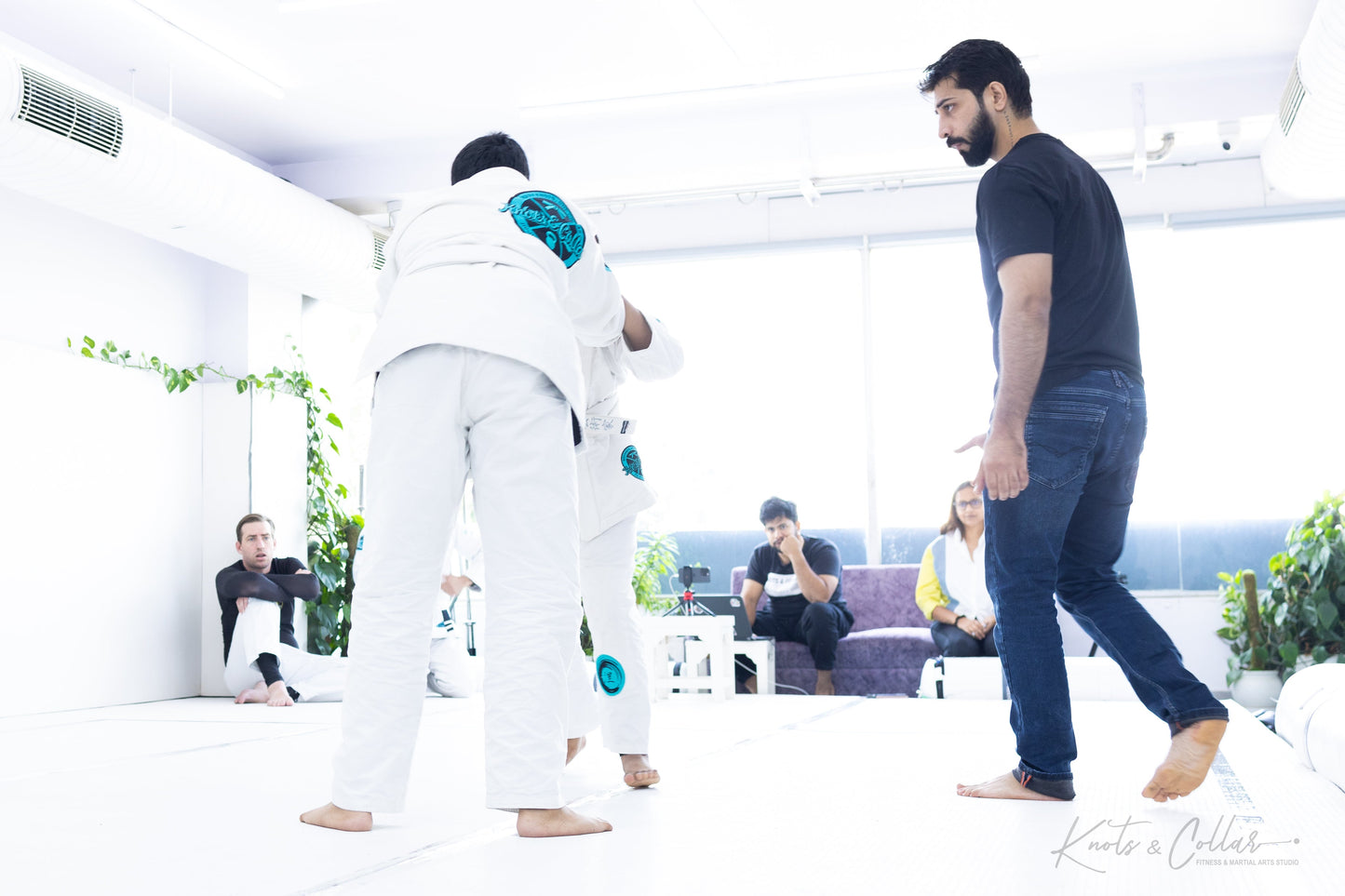 King of the Tatami (Second Edition - 2024)