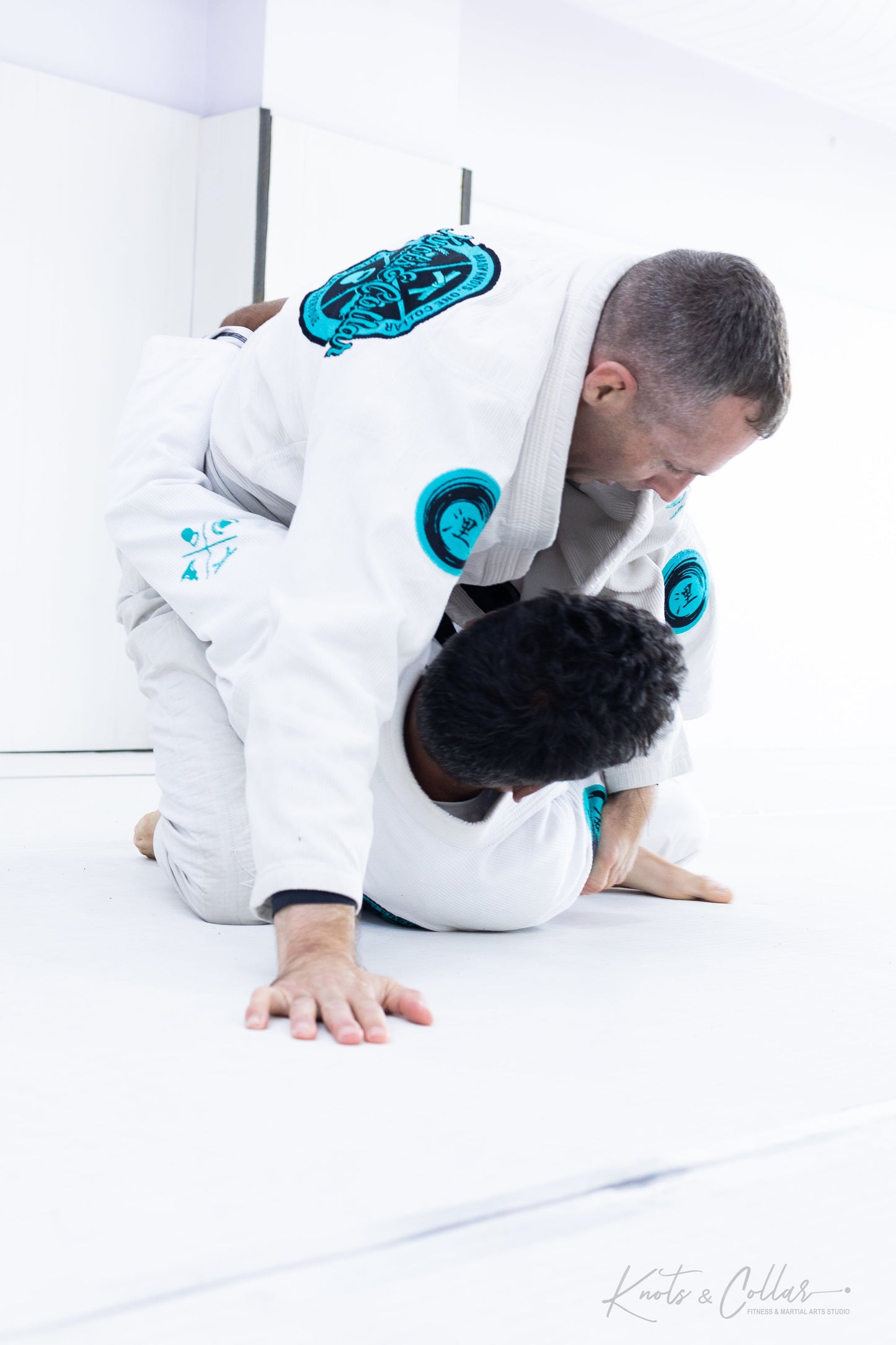 King of the Tatami (Second Edition - 2024)