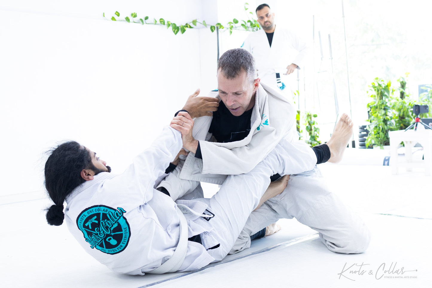 King of the Tatami (Second Edition - 2024)