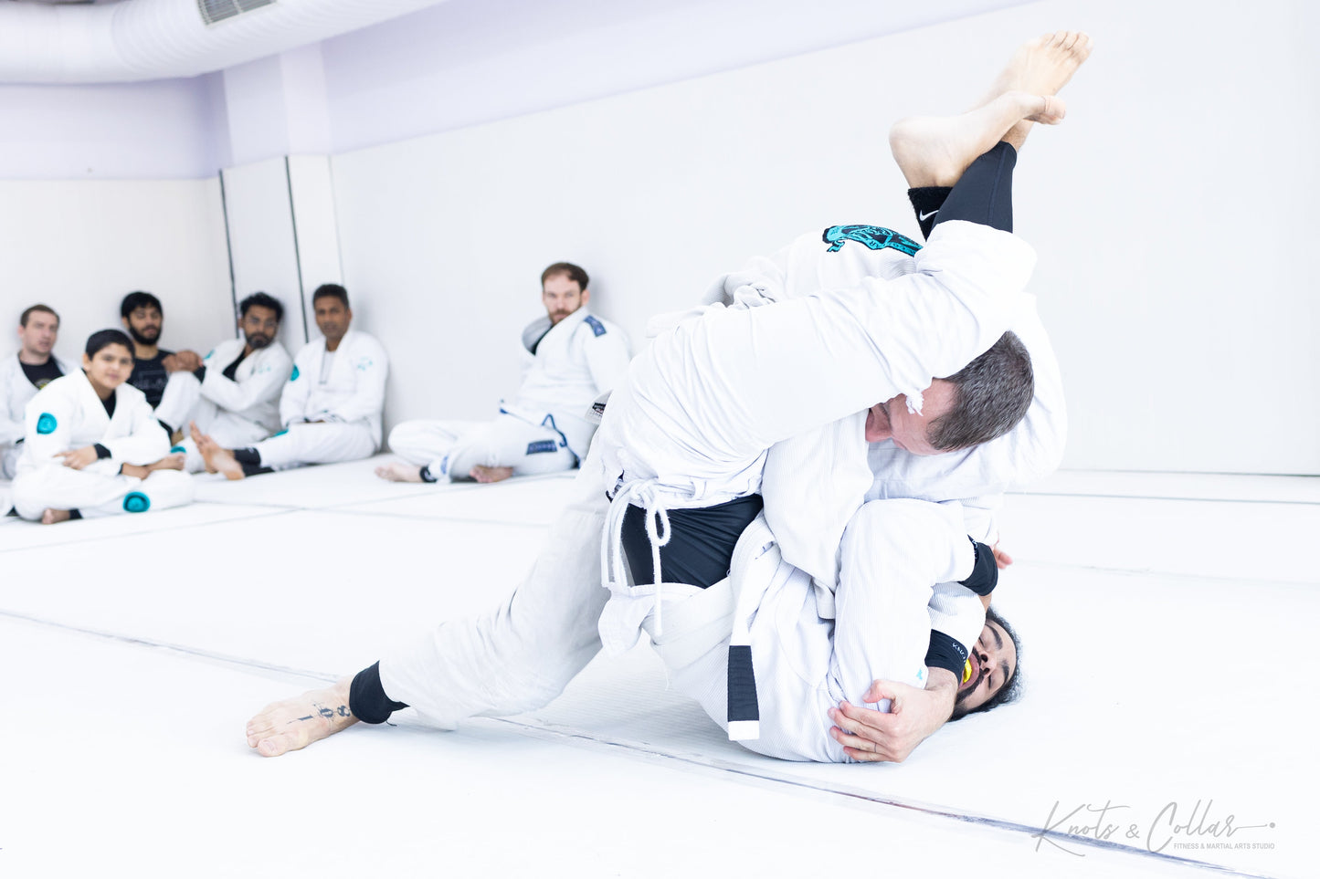 King of the Tatami (Second Edition - 2024)
