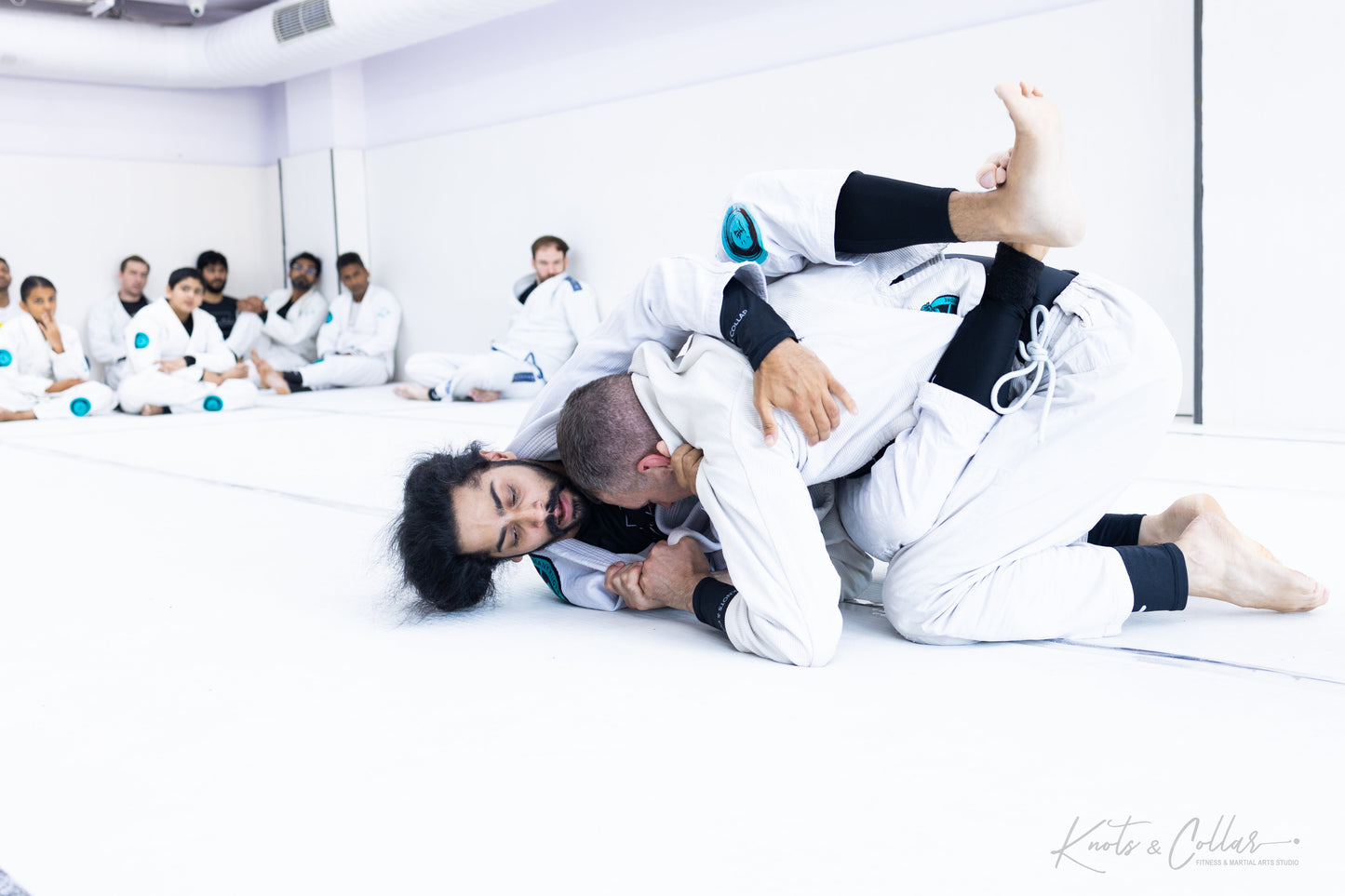 King of the Tatami (Second Edition - 2024)
