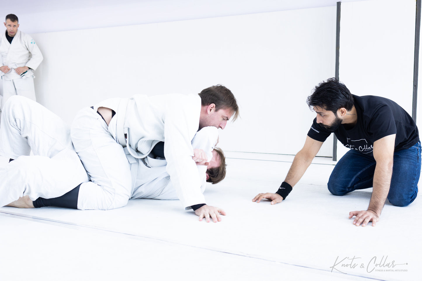 King of the Tatami (Second Edition - 2024)