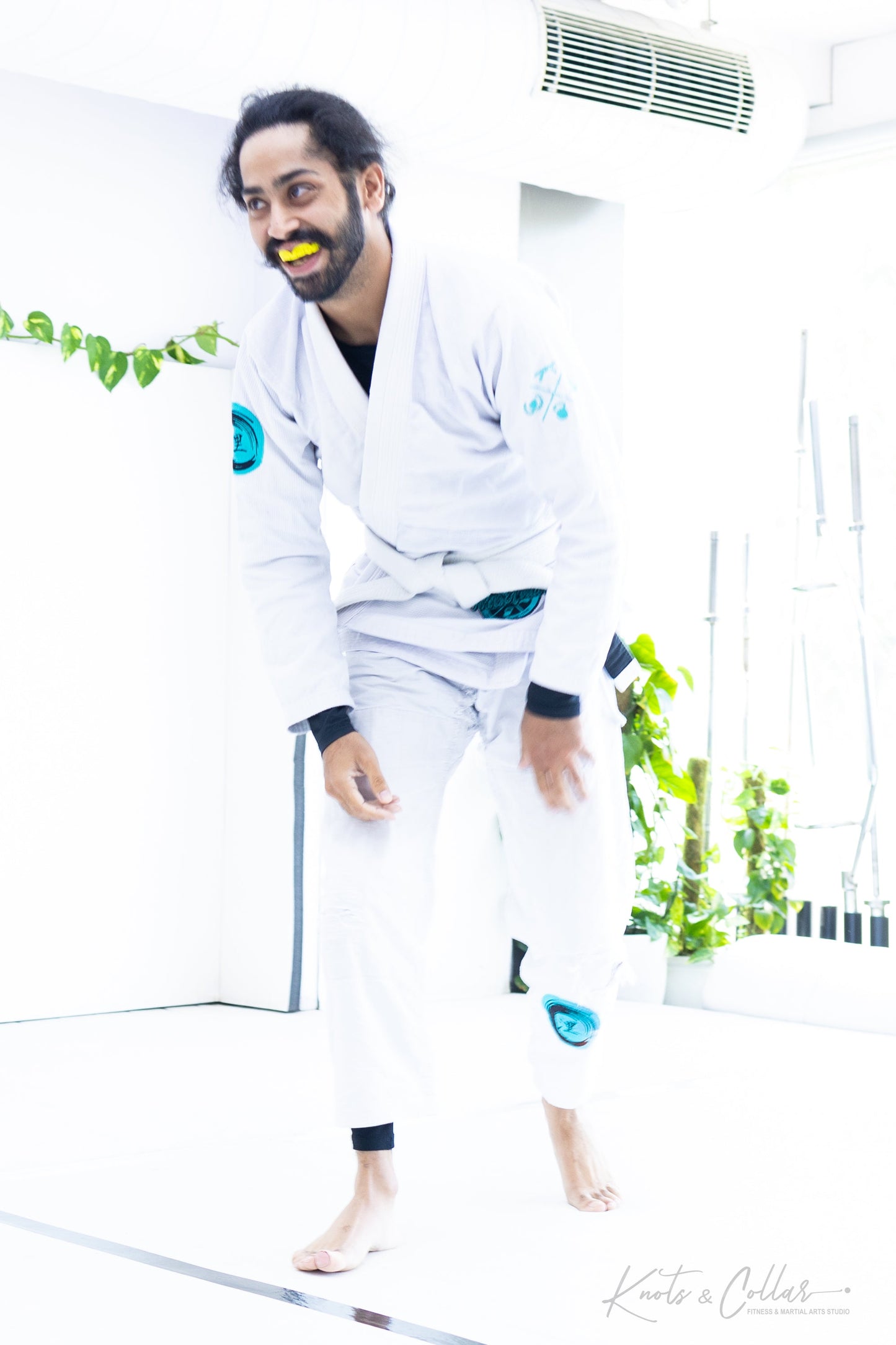 King of the Tatami (Second Edition - 2024)