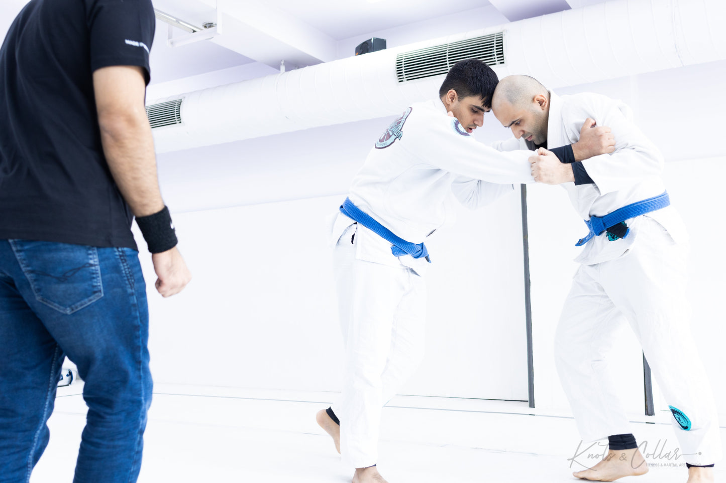 King of the Tatami (Second Edition - 2024)