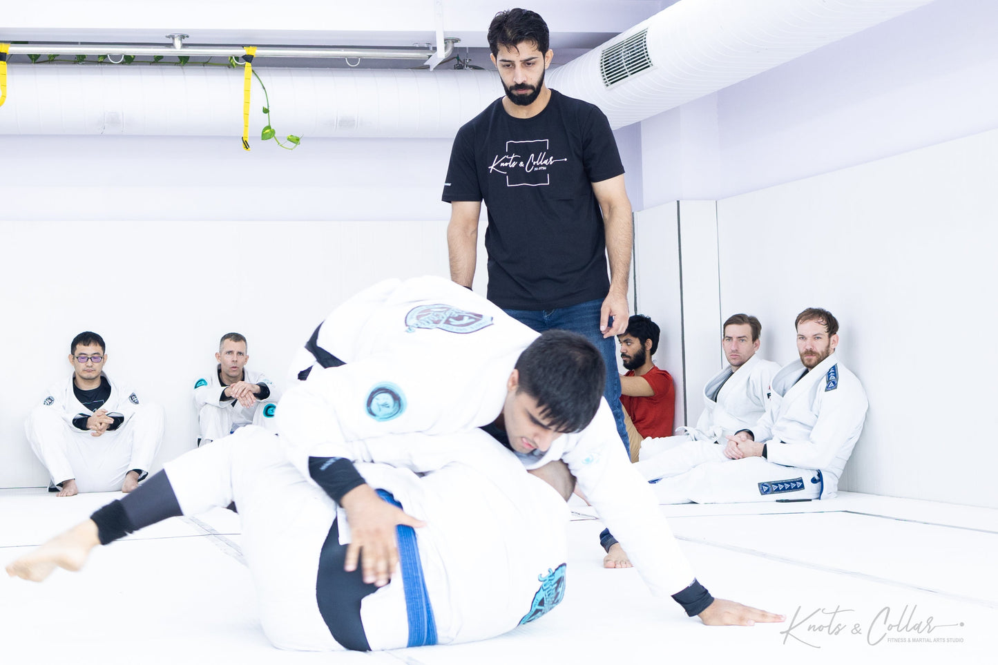 King of the Tatami (Second Edition - 2024)