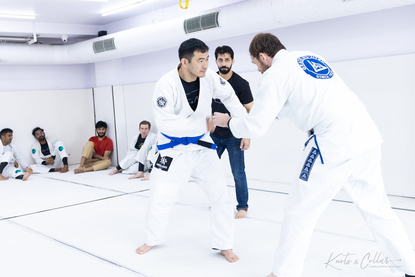 King of the Tatami (Second Edition - 2024)