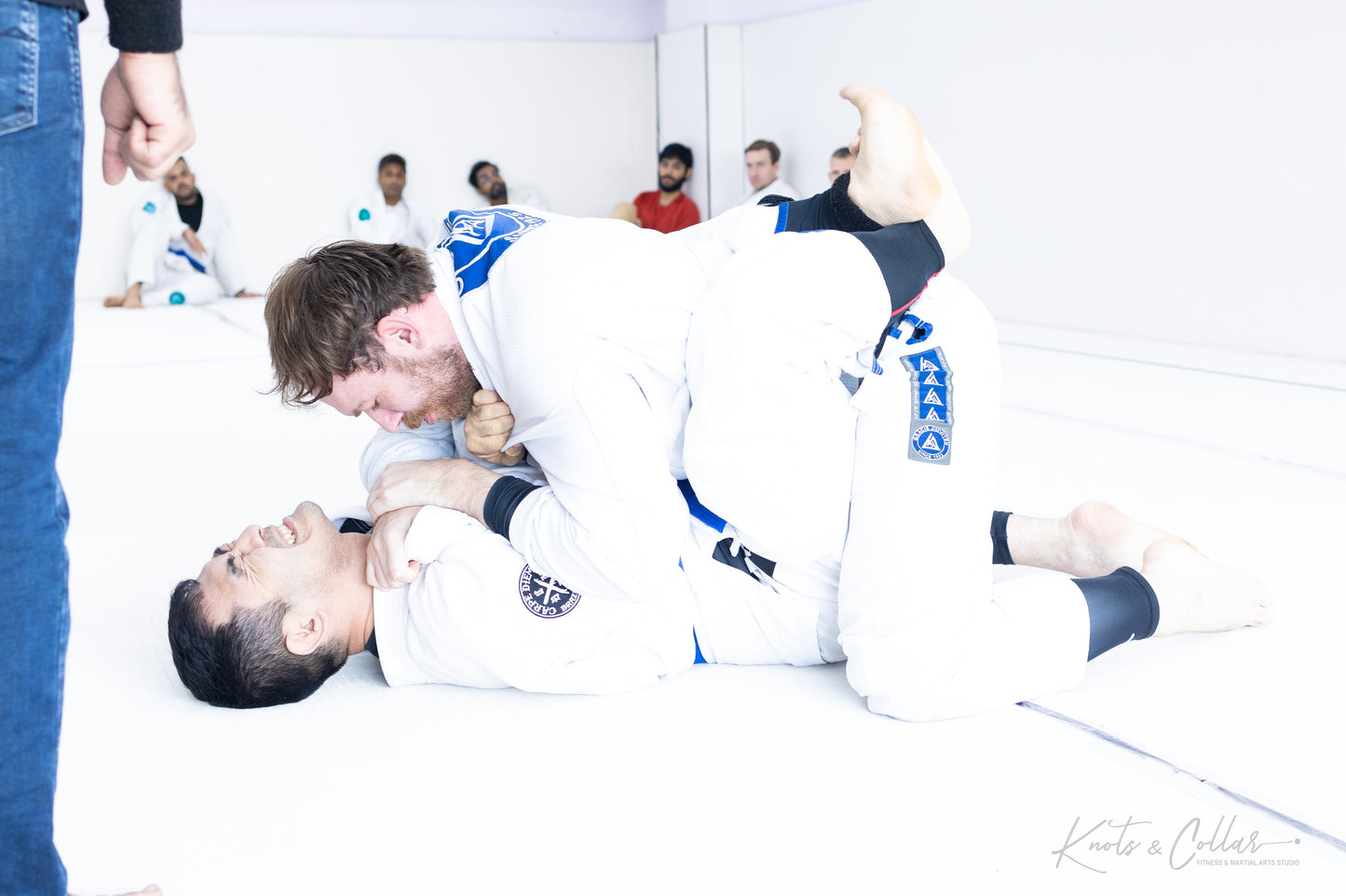 King of the Tatami (Second Edition - 2024)