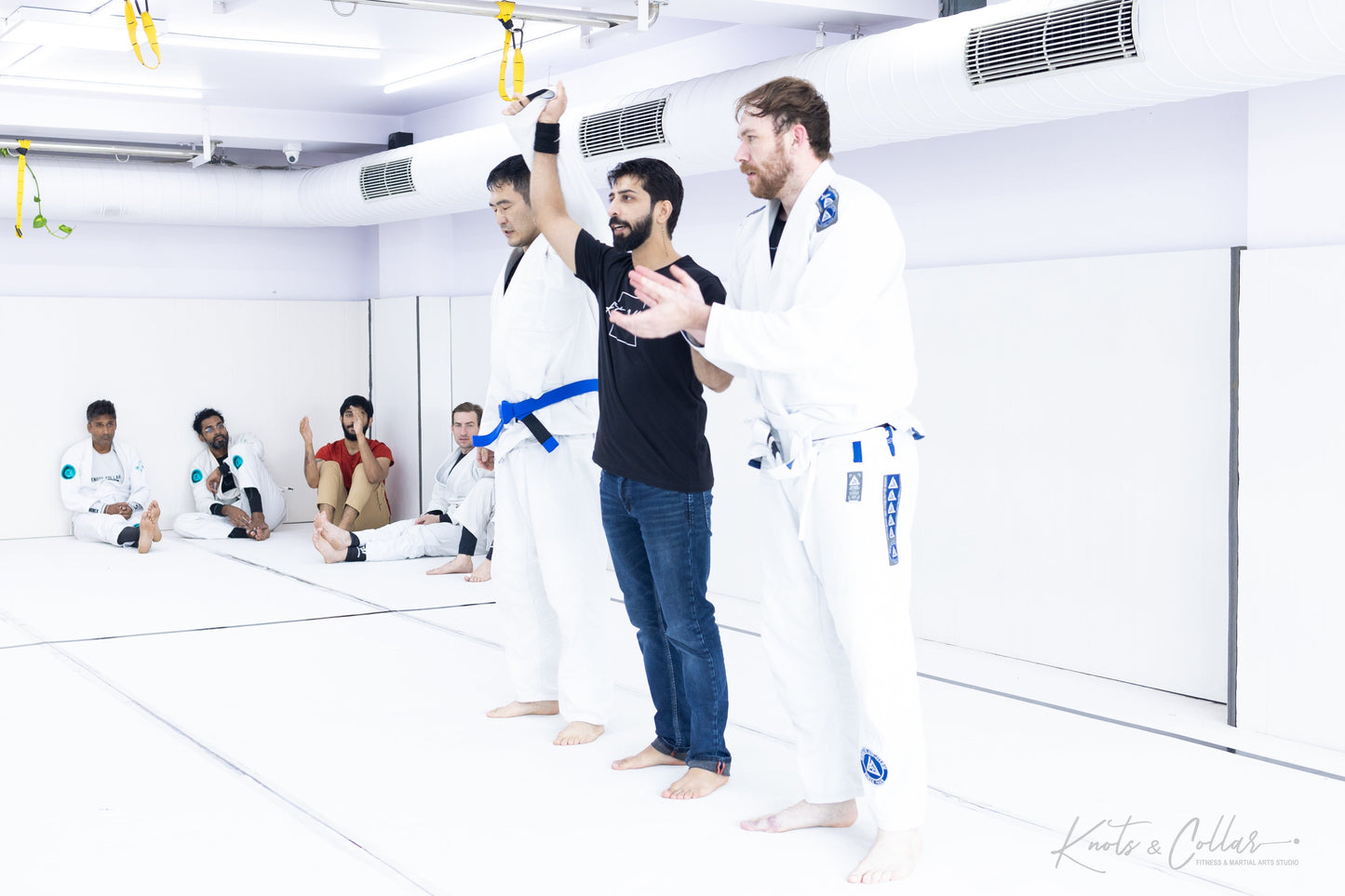 King of the Tatami (Second Edition - 2024)