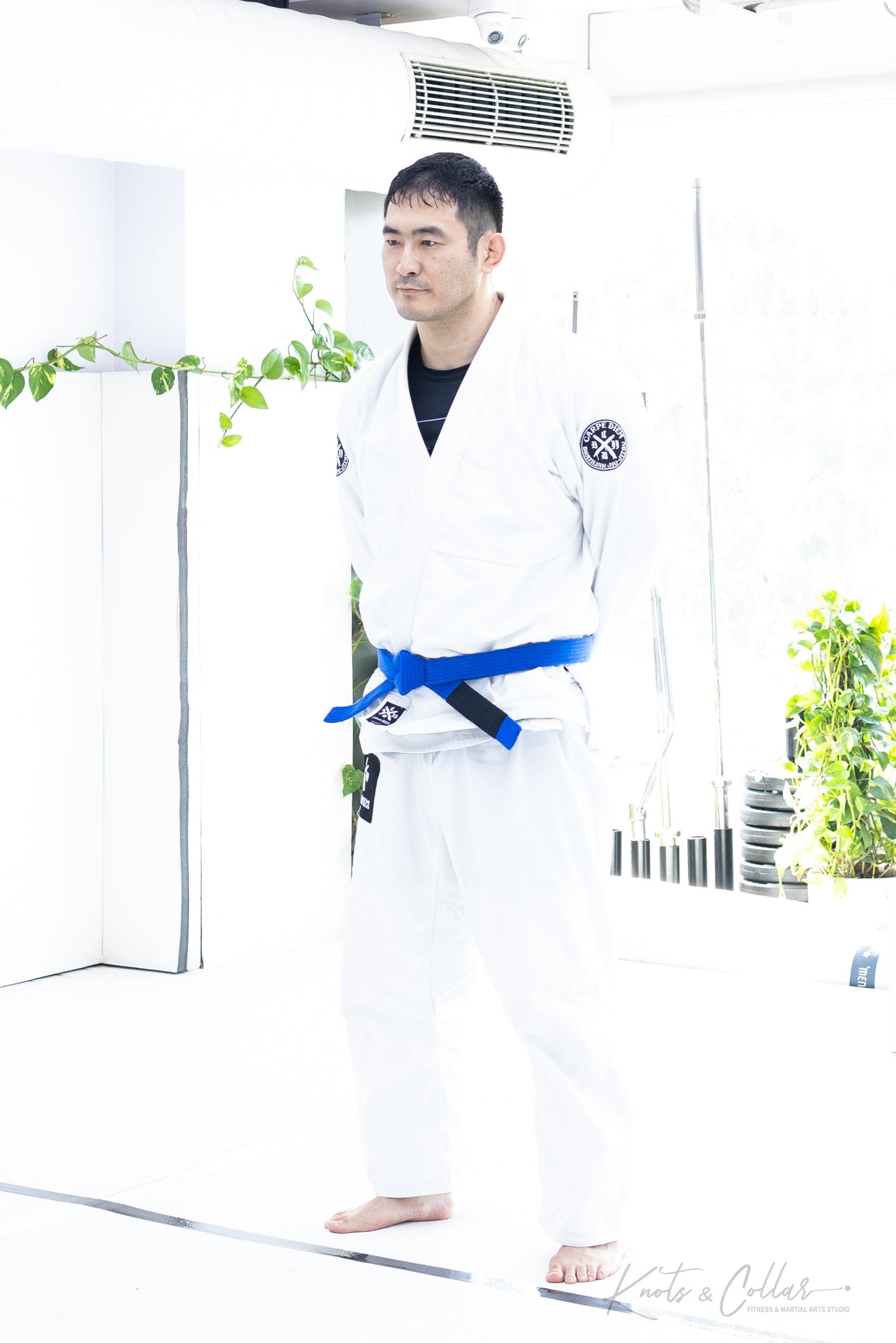 King of the Tatami (Second Edition - 2024)
