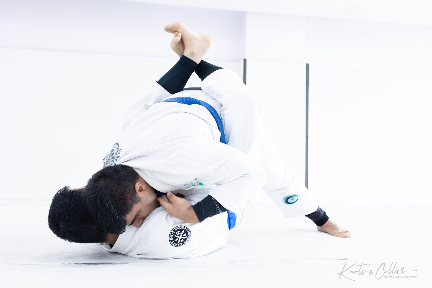 King of the Tatami (Second Edition - 2024)