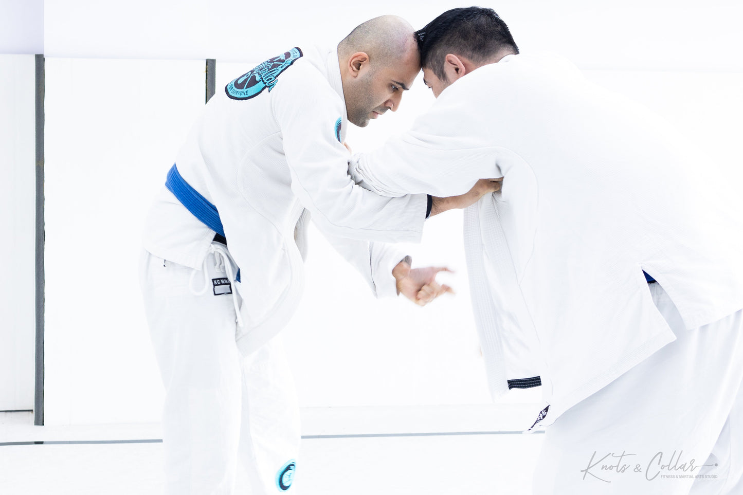King of the Tatami (Second Edition - 2024)
