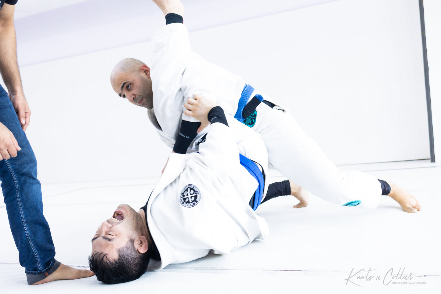 King of the Tatami (Second Edition - 2024)