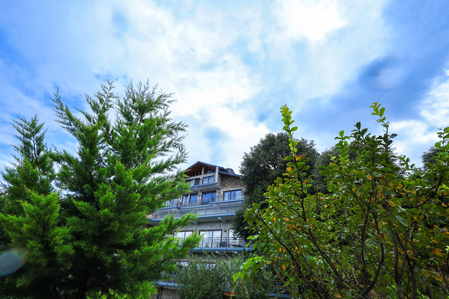 BJJ RETREAT IN MUKTESHWAR – OCTOBER 22-27, 2025