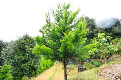 BJJ RETREAT IN MUKTESHWAR – OCTOBER 22-27, 2025